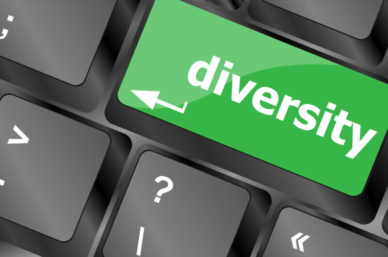 shallow diversity implementations financial services