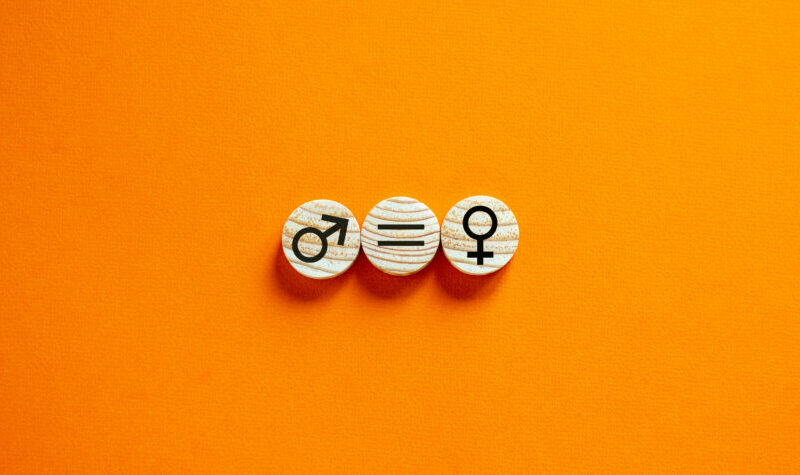 Temenos Gender-Equality Index